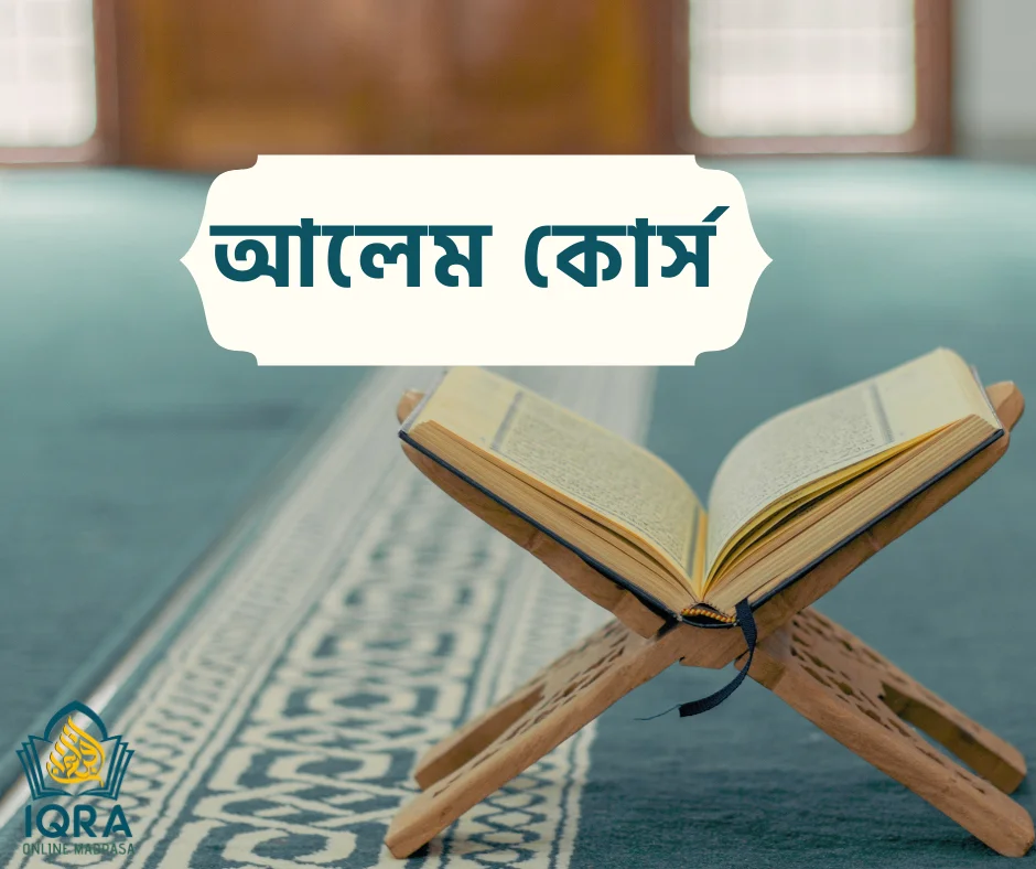 Bir toda siklar mushuk videosiga tashlanadi